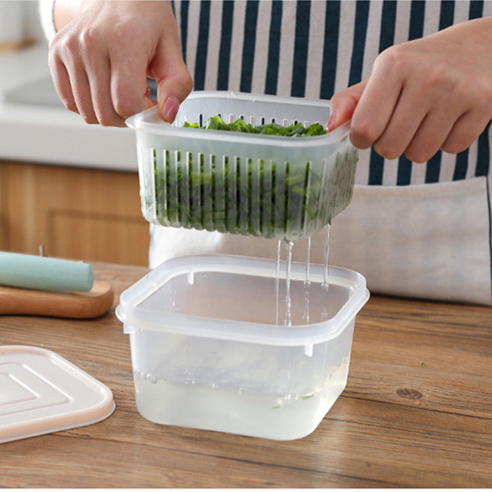 Kitchen Refrigerator Storage Box for Fresh Herbs and Garlic