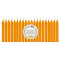 Set of 20 Orange Unscented 4 Inch Tall Chime Candles (Altar Spell)