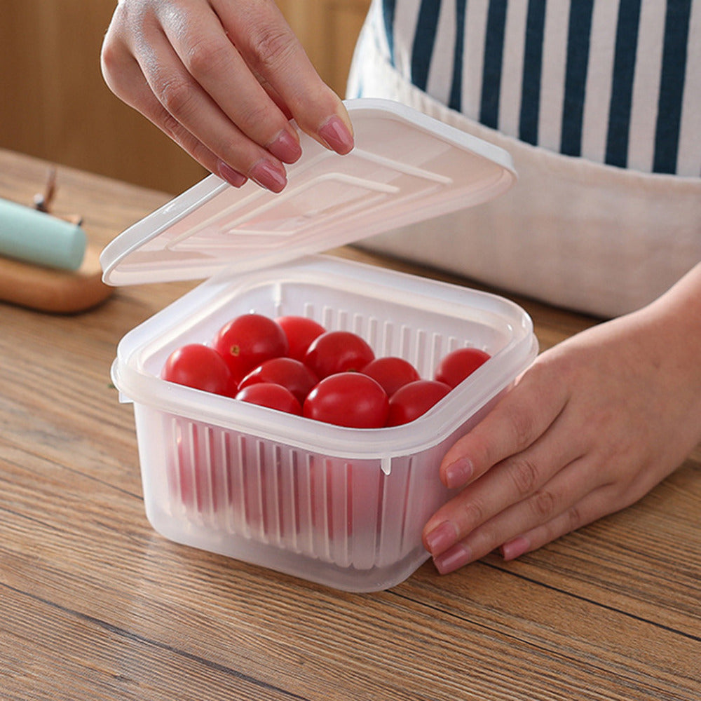 Kitchen Refrigerator Storage Box for Fresh Herbs and Garlic