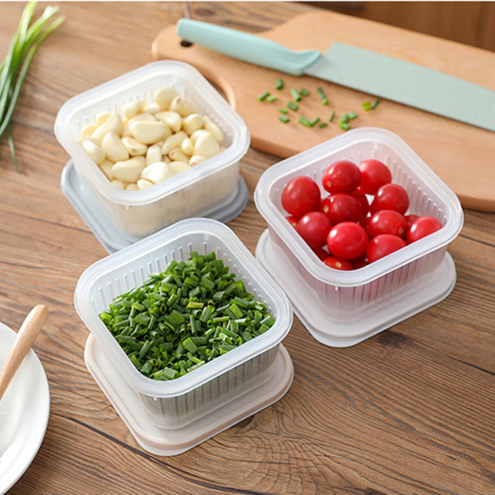 Kitchen Refrigerator Storage Box for Fresh Herbs and Garlic